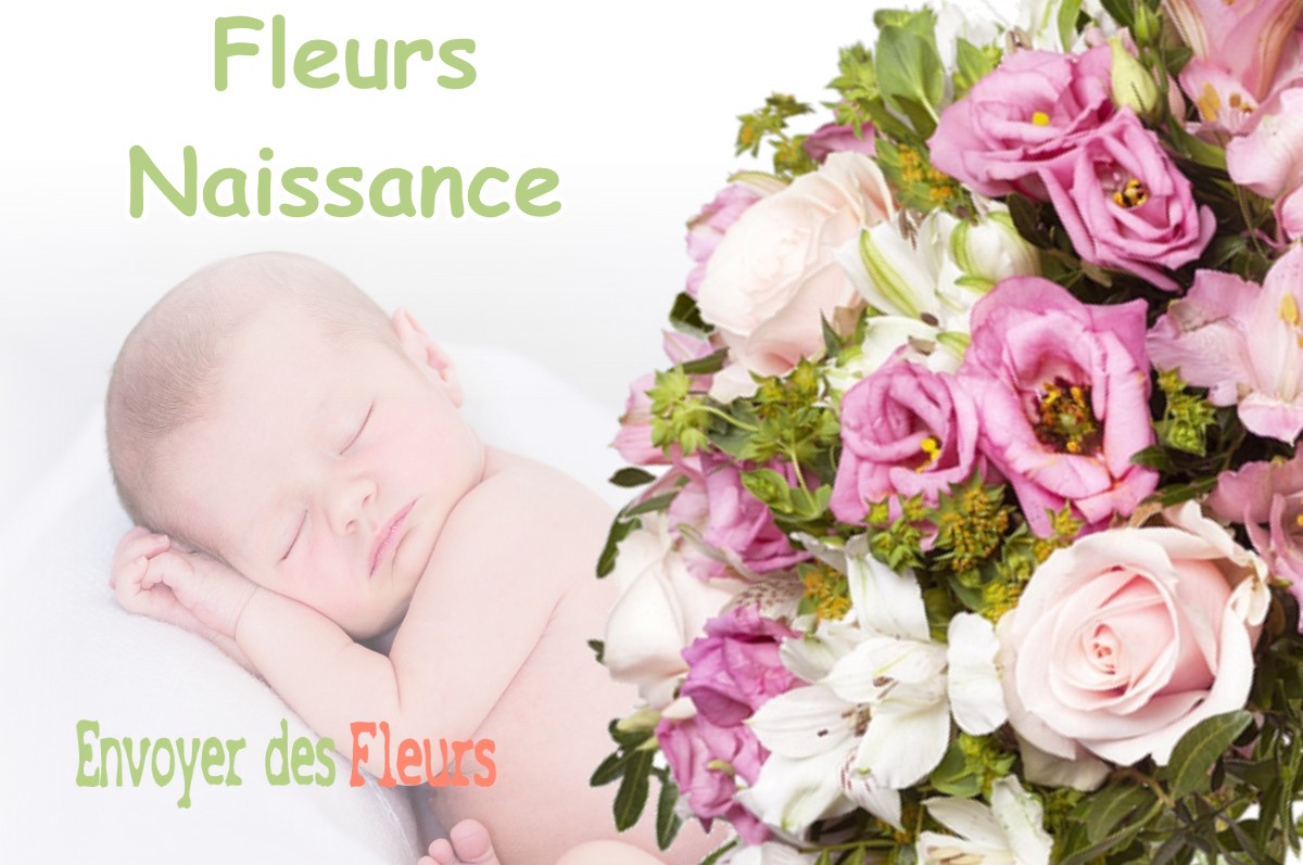 lIVRAISON FLEURS NAISSANCE à MERVILLA